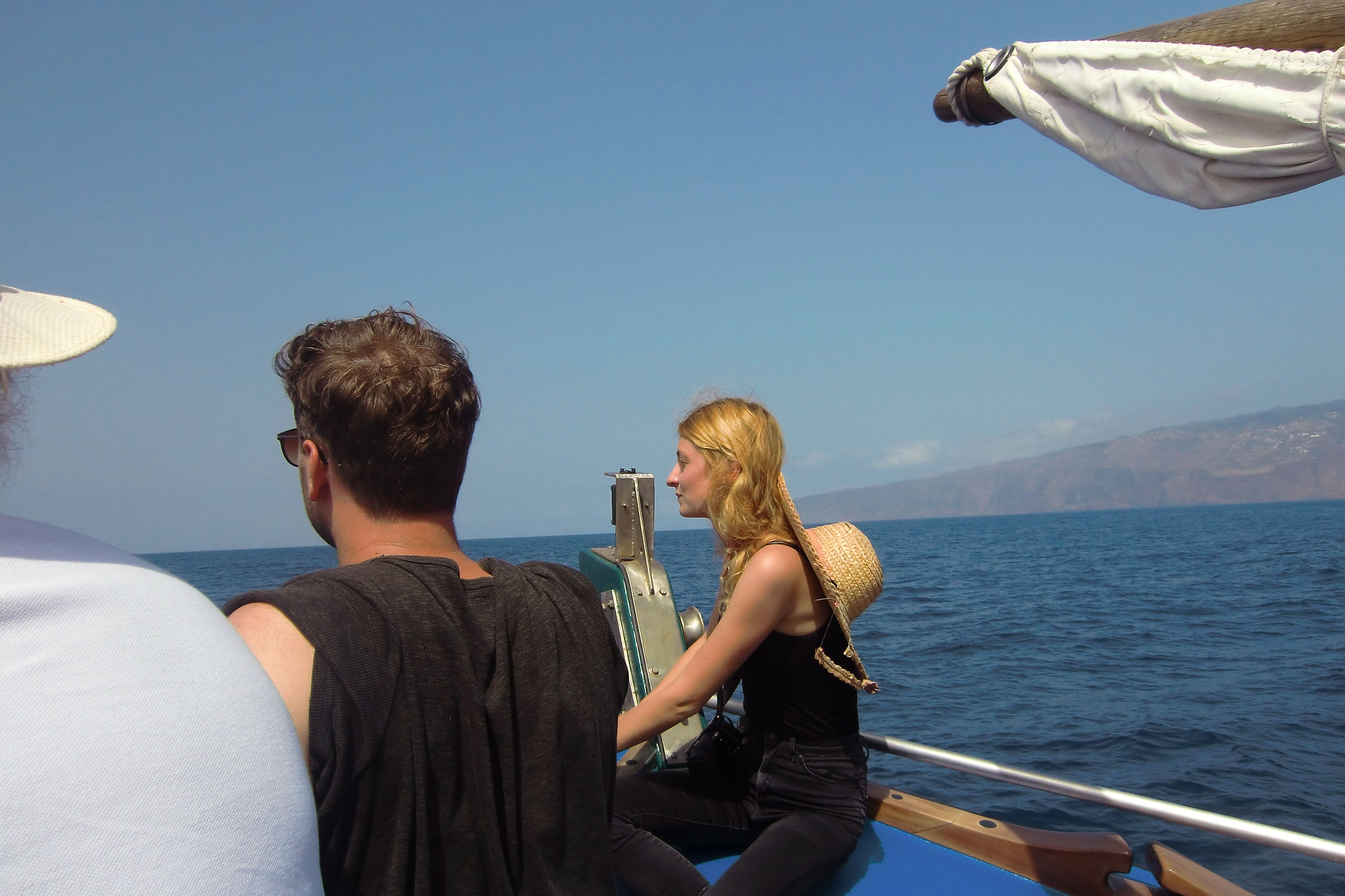 Whale watching Madeira