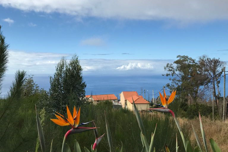 Madeira view